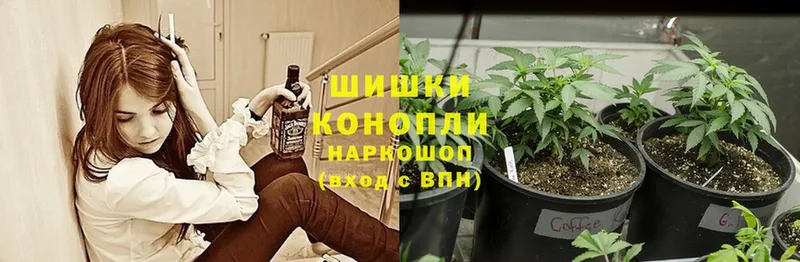 МАРИХУАНА Ganja  где продают наркотики  Бородино 